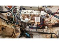 CSY 44 WO Click to launch Larger Image