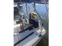 Pearson 27 Click to launch Larger Image