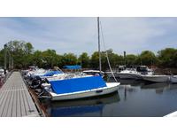 Flying Scot  Click to launch Larger Image