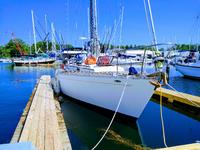 Cheoy Lee Pedrick 41