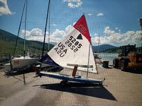 laser performance AMF Sunfish