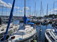 Bayfield 25 Click to launch Larger Image