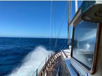 Custom 66 Click to launch Larger Image