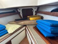 Tartan 34C Click to launch Larger Image