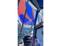 Baba 30 Click to launch Larger Image