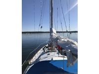 Alberg Pearson PROCYON Alberg 35