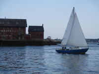 O'Day Outlaw Click to launch Larger Image