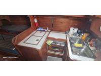 Tartan T37 Click to launch Larger Image