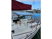 Tartan 30 Click to launch Larger Image