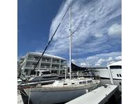 Lippincot LIPPINCOT 30