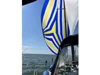 Catalina 309 Click to launch Larger Image