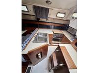 Hunter  Click to launch Larger Image