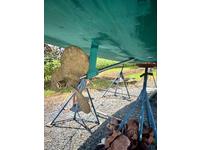 Hunter  Click to launch Larger Image