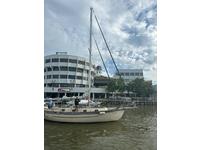 Young Sun 35 Click to launch Larger Image