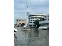 Young Sun 35 Click to launch Larger Image