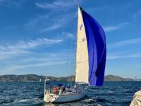 Sabre 426 Click to launch Larger Image