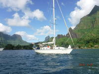 Caliber 40 LRC Click to launch Larger Image