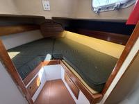 Tartan 27 Click to launch Larger Image