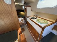 Tartan 27 Click to launch Larger Image