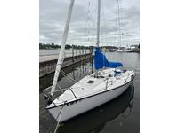 Colgate 26 Click to launch Larger Image