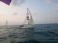 Islander 29 Click to launch Larger Image