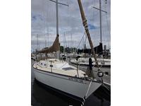 Tartan 1984 Tartan '28 Click to launch Larger Image