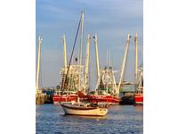 CSY 33 Click to launch Larger Image