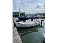 Com-pac Sunday Cat Click to launch Larger Image