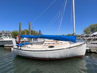 2011 Larchmont New York 17 Com-Pac Sun Cat