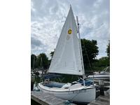 2013 Ithaca New York 17 Com-pac Sunday Cat