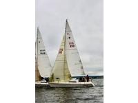 LASER 28 LASER 28 Click to launch Larger Image