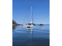 1977 Everett Marina Washington 33 Ranger 33