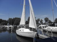 1976 Midland Michigan 29 Ranger Ranger 29