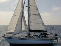 1981 St Petersburg Florida 42 Tayana Vancouver