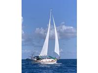 1979 Fajardo Puerto Rico Outside United States 37 Tayana Tayana 37