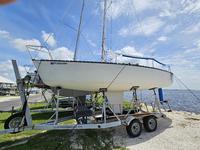 1984 Tampa Florida 24 Schock WD Wavelength 24