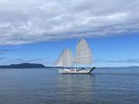 2001 Homer Alaska 42 Tom Colvin Gazelle 42