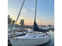 1968 Chicago Illinois 25 Morgan 24