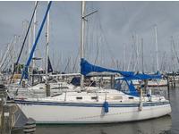 1984 Mayo Maryland 31 Hunter 31