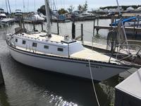 1982 Harrison twp Michigan 33 Hunter Cherubini