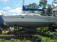 1998 Keyport New Jersey 28 Catalina 28 Mark II WK - ESTATE SALE