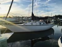 1982 New Gretna New Jersey 33 Cherubini Raider