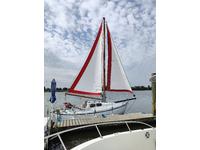 1970 Essington Near Philadelphia International Airport Pennsylvania 20 Fisksatra Havsfidra 20