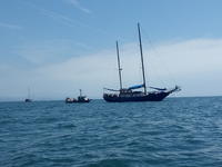 1974 SANTA BARBARA California 75 Spcns 