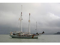 1975 Alameda estuary California 75 Sam Cunningham 1890's Style Nova Scotia Fishing Schooner