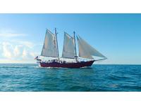 1984 Maraton Florida keys Florida 72  Trade Rover bald headed schooner
