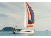 1984 GuaymasMexicocan deliver West Coast NAmerica  31 IRWIN Citation31