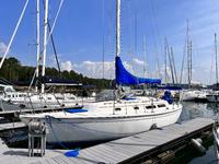 1983 Lake Lanier Atlanta Ga Georgia 31 Cal Yachts Cal 31