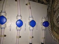 George Sutton Schooner Click to launch Larger Image