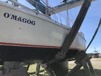 Amel Maramu Click to launch Larger Image